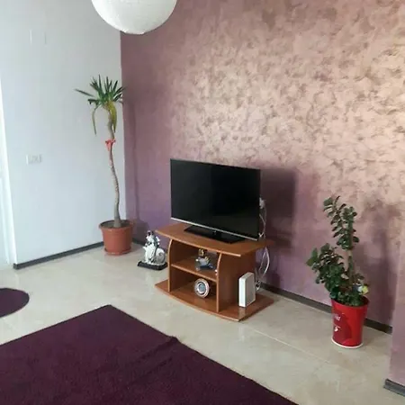 Apartment Lacramioara *
